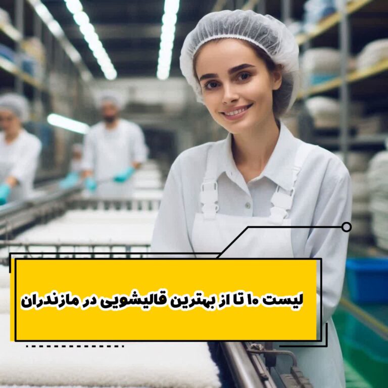 لیست 10 تا از بهترین قالیشویی مازندران
